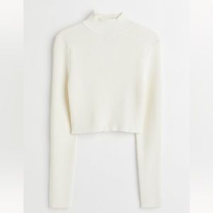 H&M | Knitted Turtleneck Crop Top